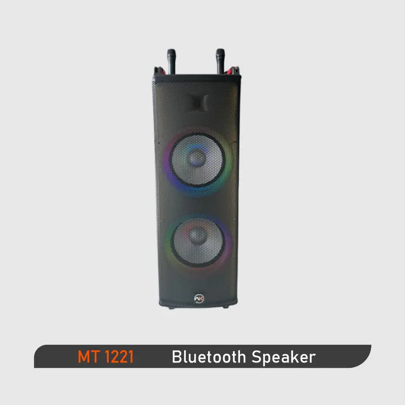 SPEAKER AK BLUETOOTH (100W) + 2 micros